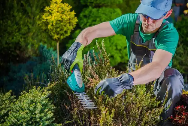 landscaping services West Glens Falls
